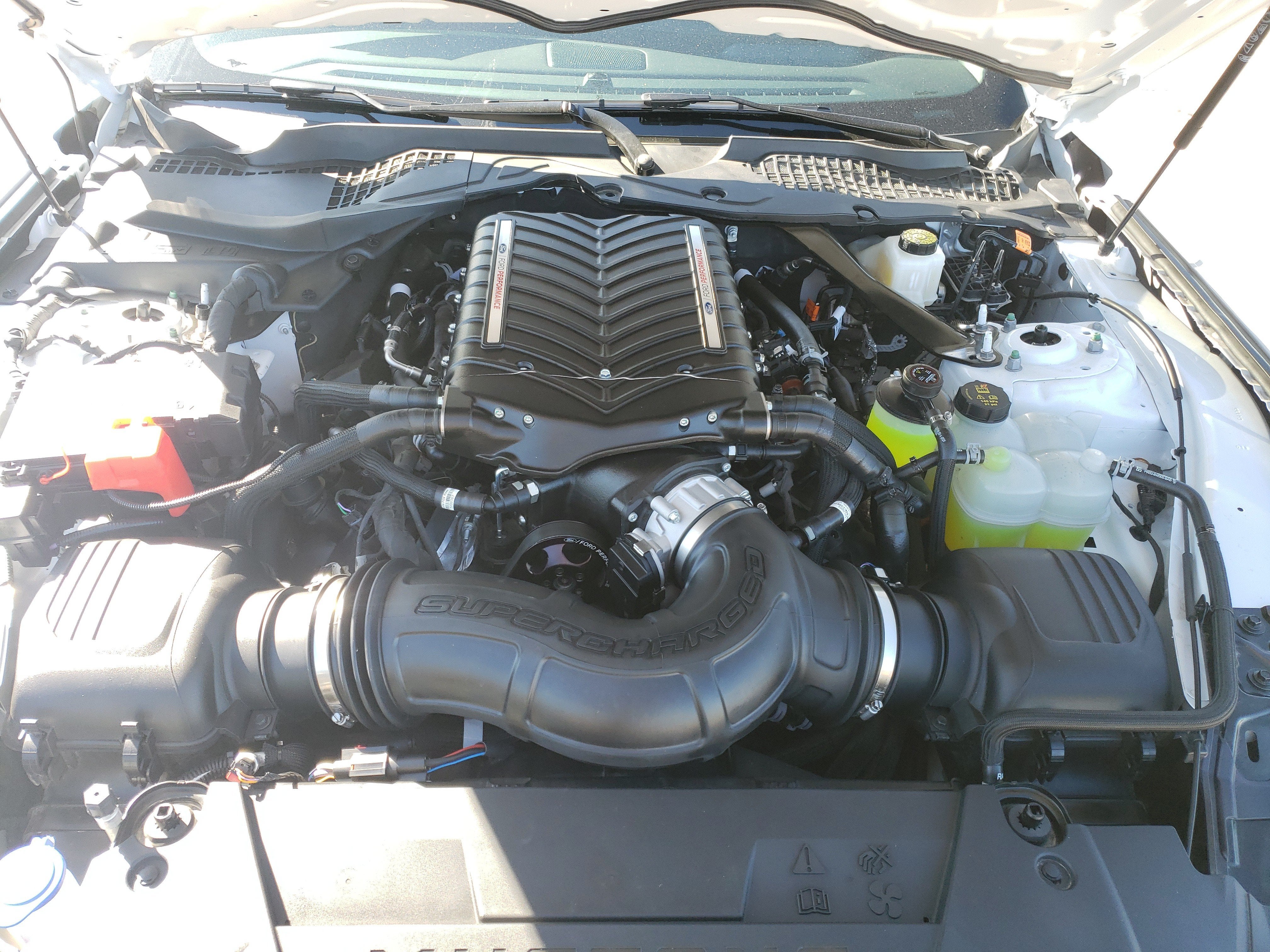 2026 Ford Mustang Base